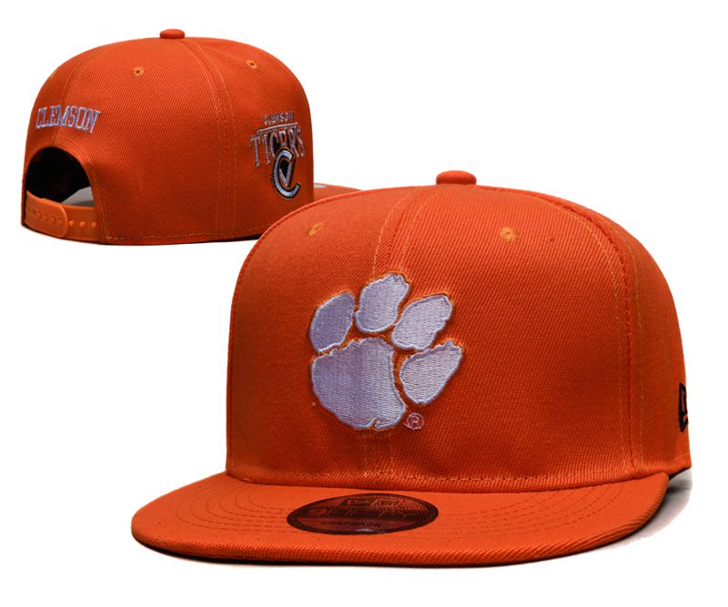 2025 NCAA Clemson Tigers Hat YS20254101